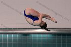 Diving vs Babson  Wheaton College Diving vs Babson College. - Photo By: KEITH NORDSTROM : Wheaton, Diving
